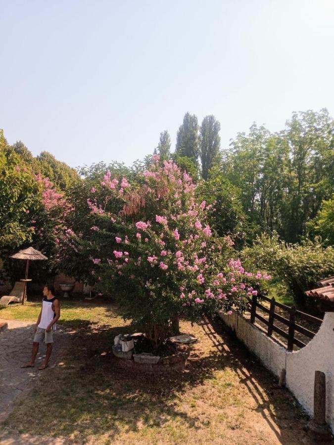 La Dama Con L'Ermellino B&B San Giovanni in Croce Екстериор снимка
